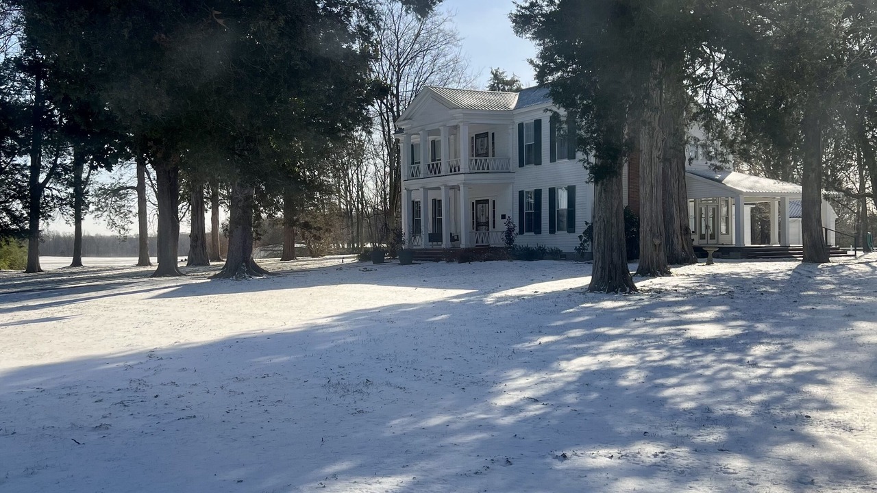 Photo of Others in Ellendale