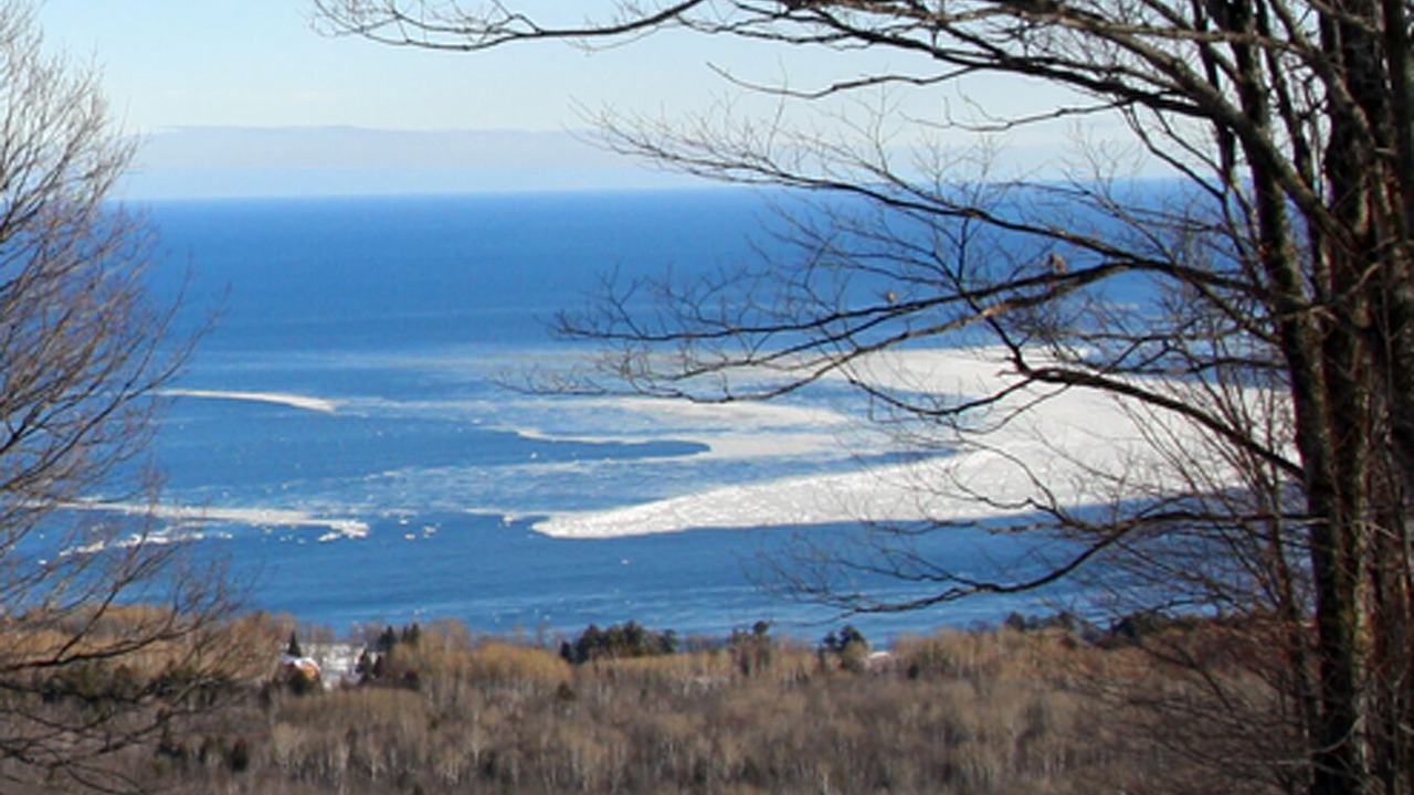 Photo of Others in White Pine