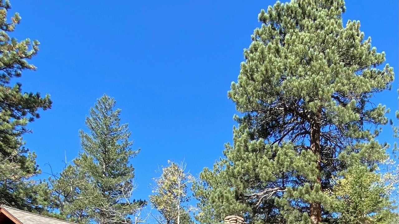 Photo of Outdoor in Lyons