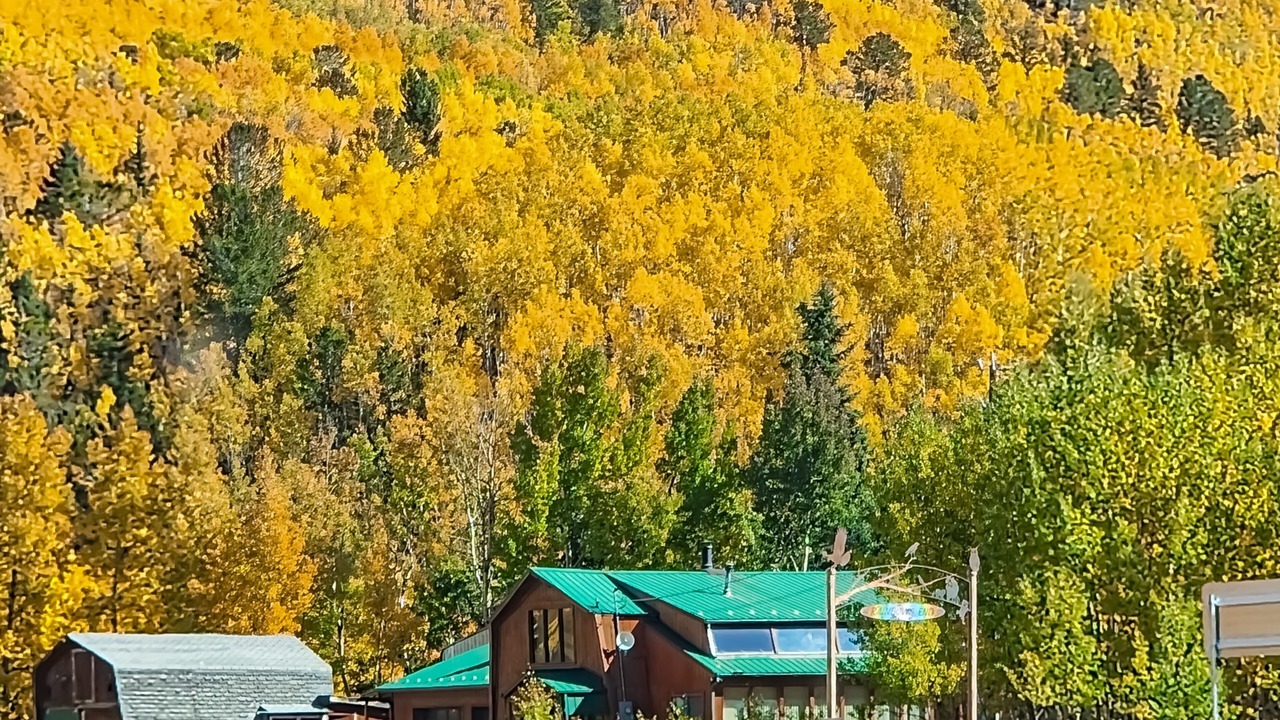 Photo of Others in Cripple Creek