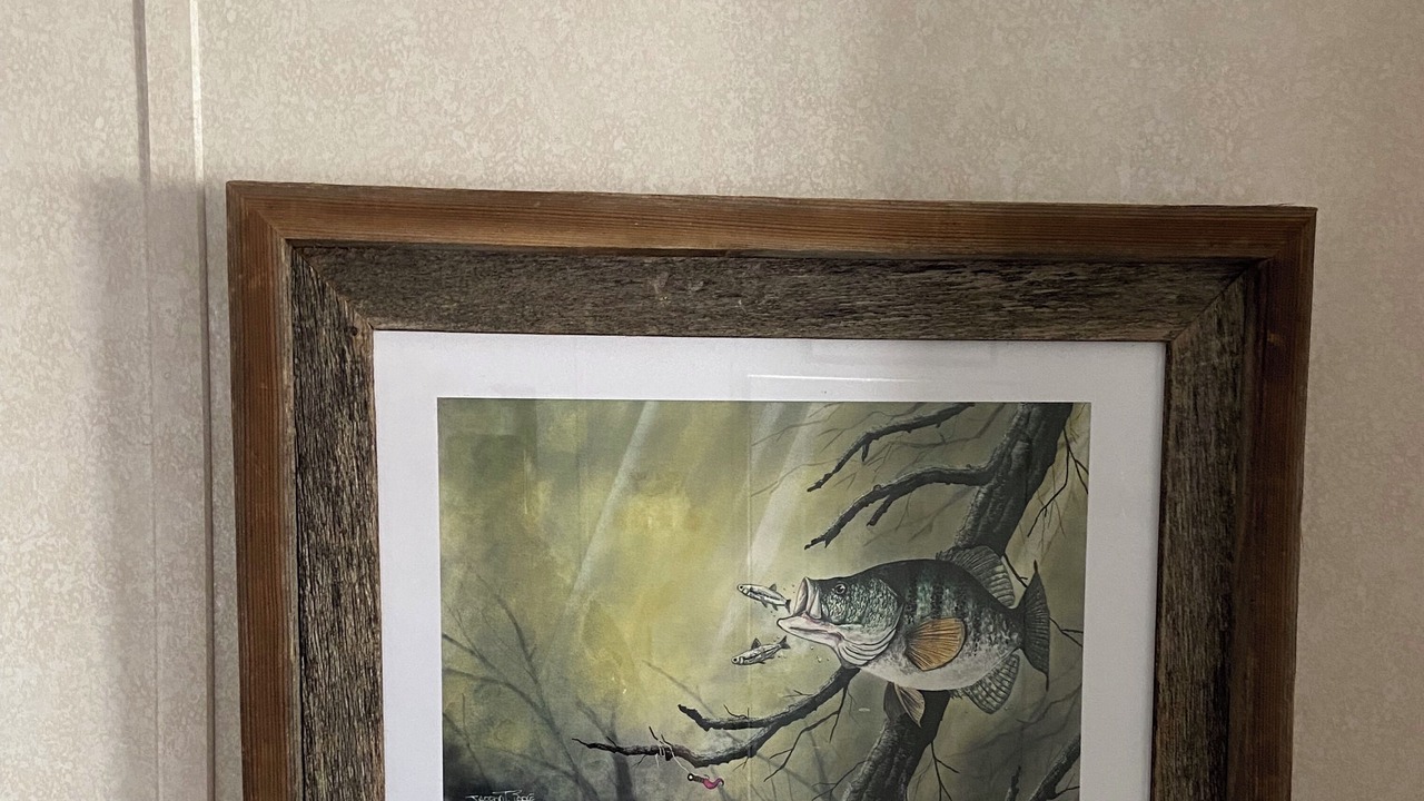 Photo of Others in Hornbeak