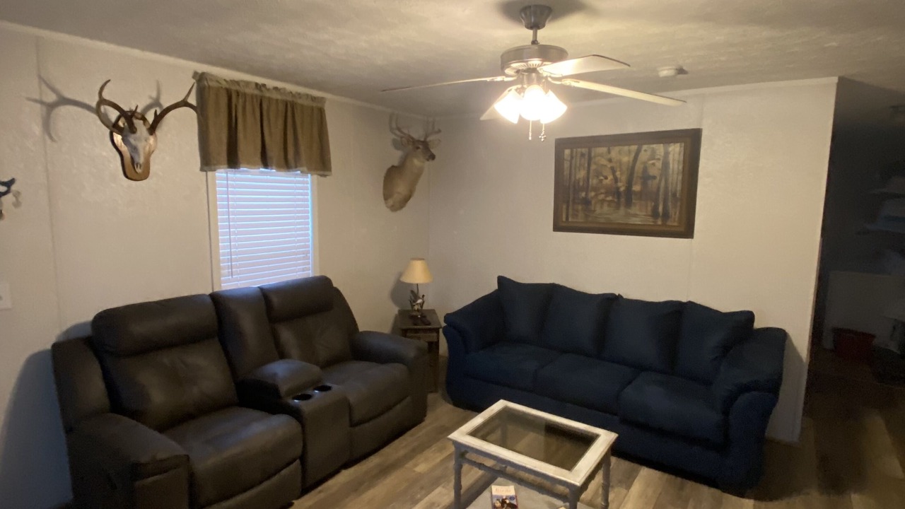 Photo of Livingroom in Hornbeak