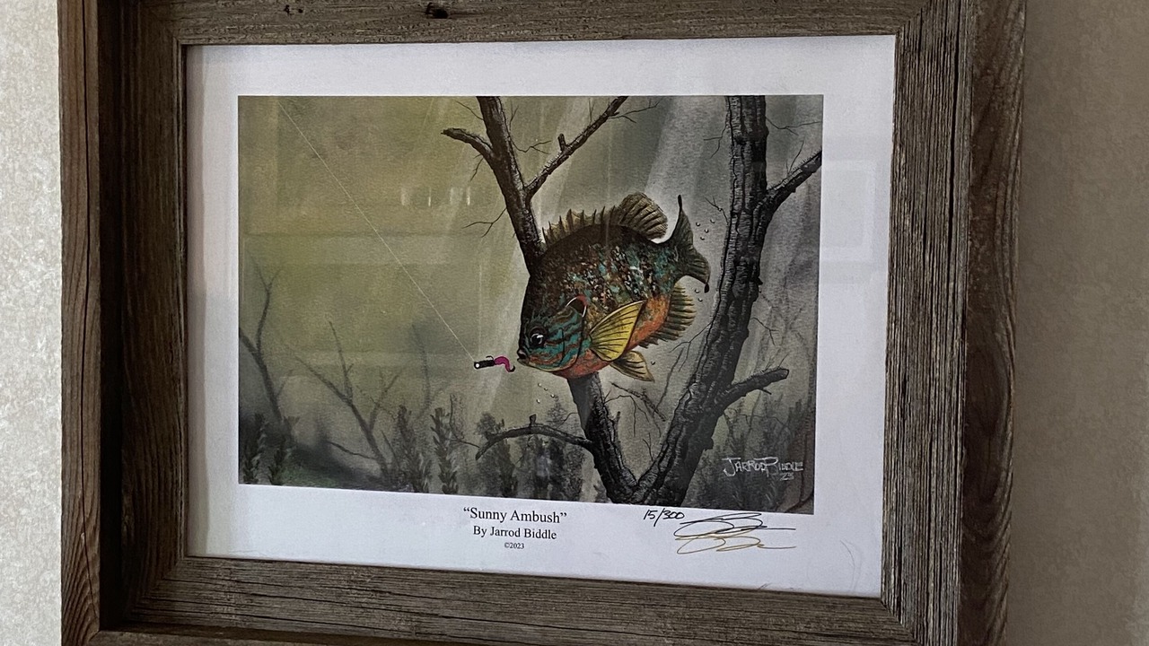 Photo of Others in Hornbeak