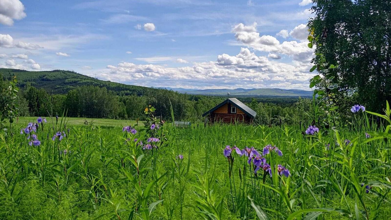 Photo of Outdoor in Fairbanks