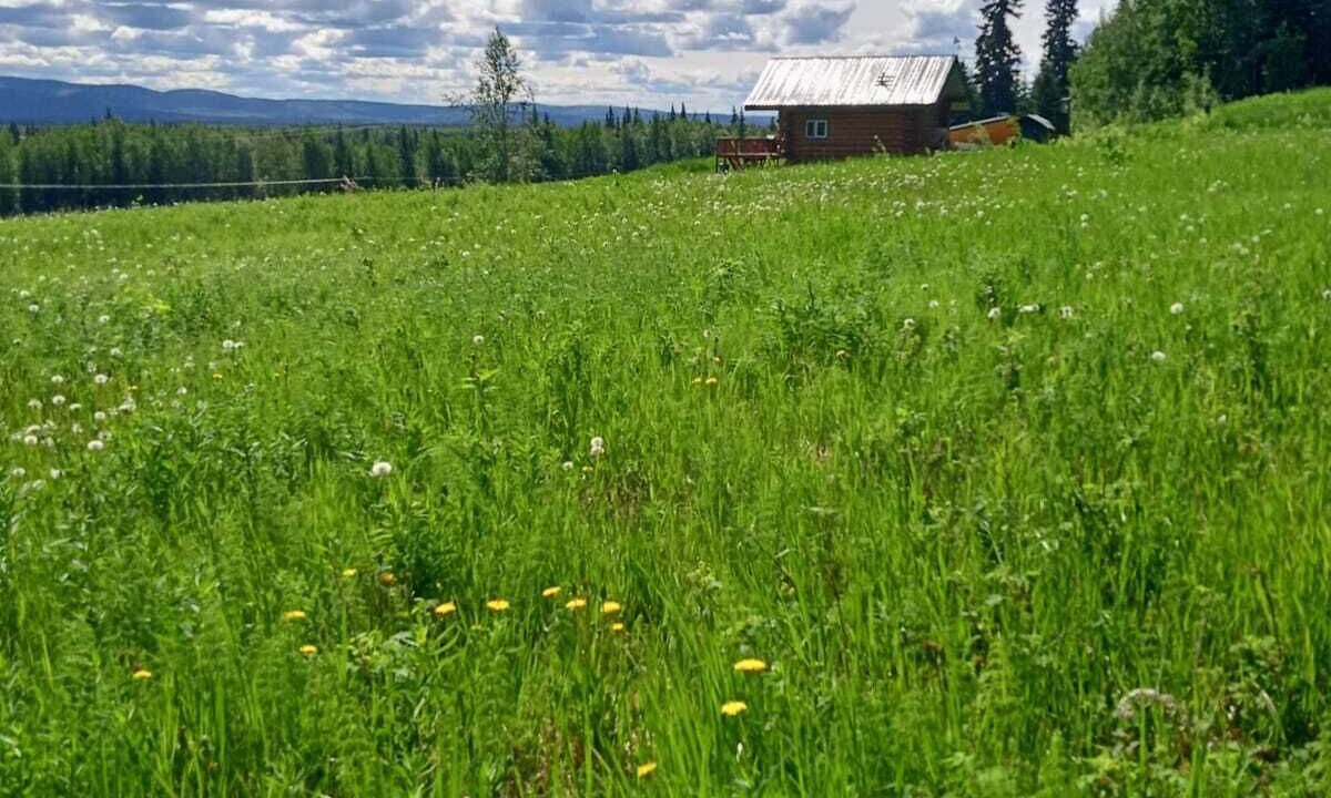 Photo of Outdoor in Fairbanks