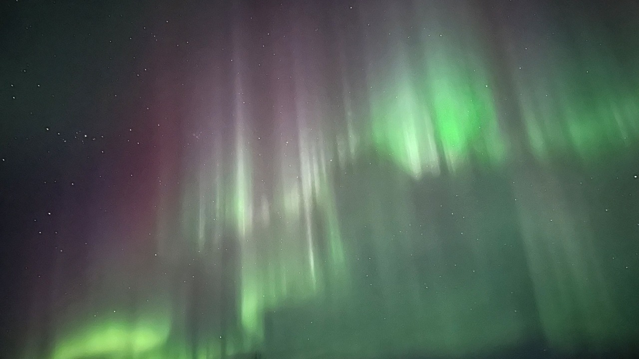 Photo of Others in Fairbanks