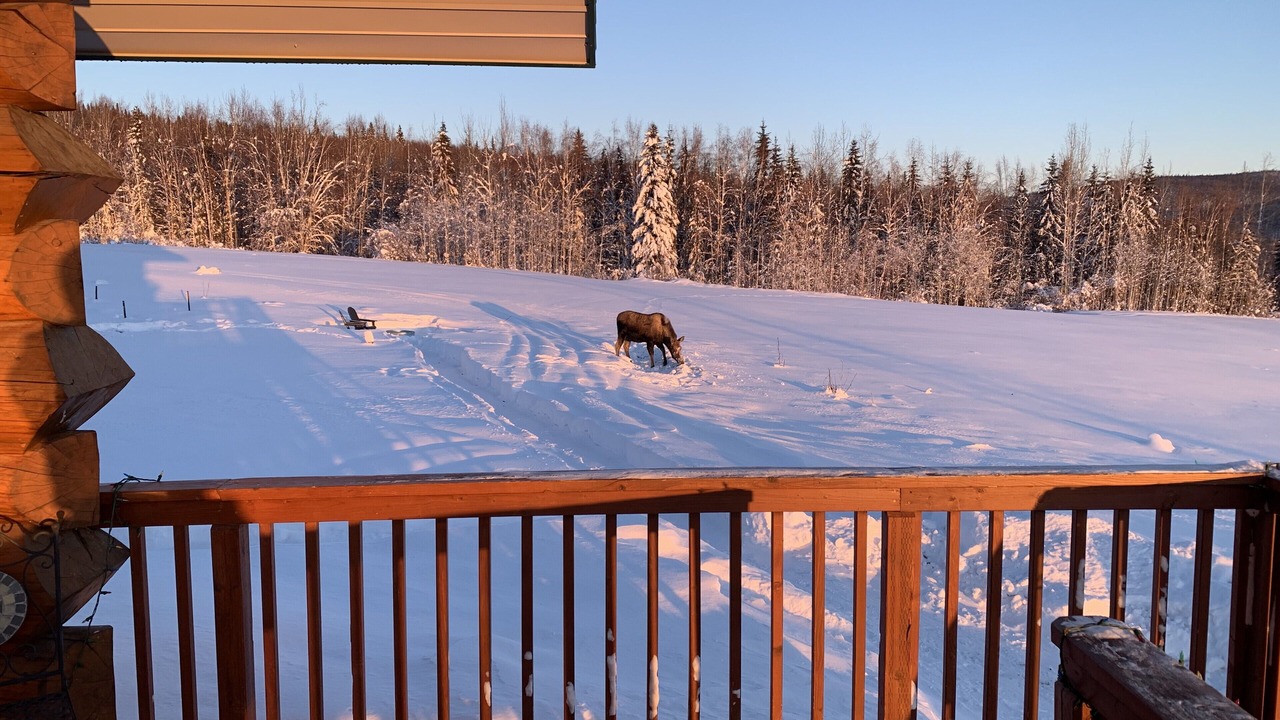 Photo of Outdoor in Fairbanks