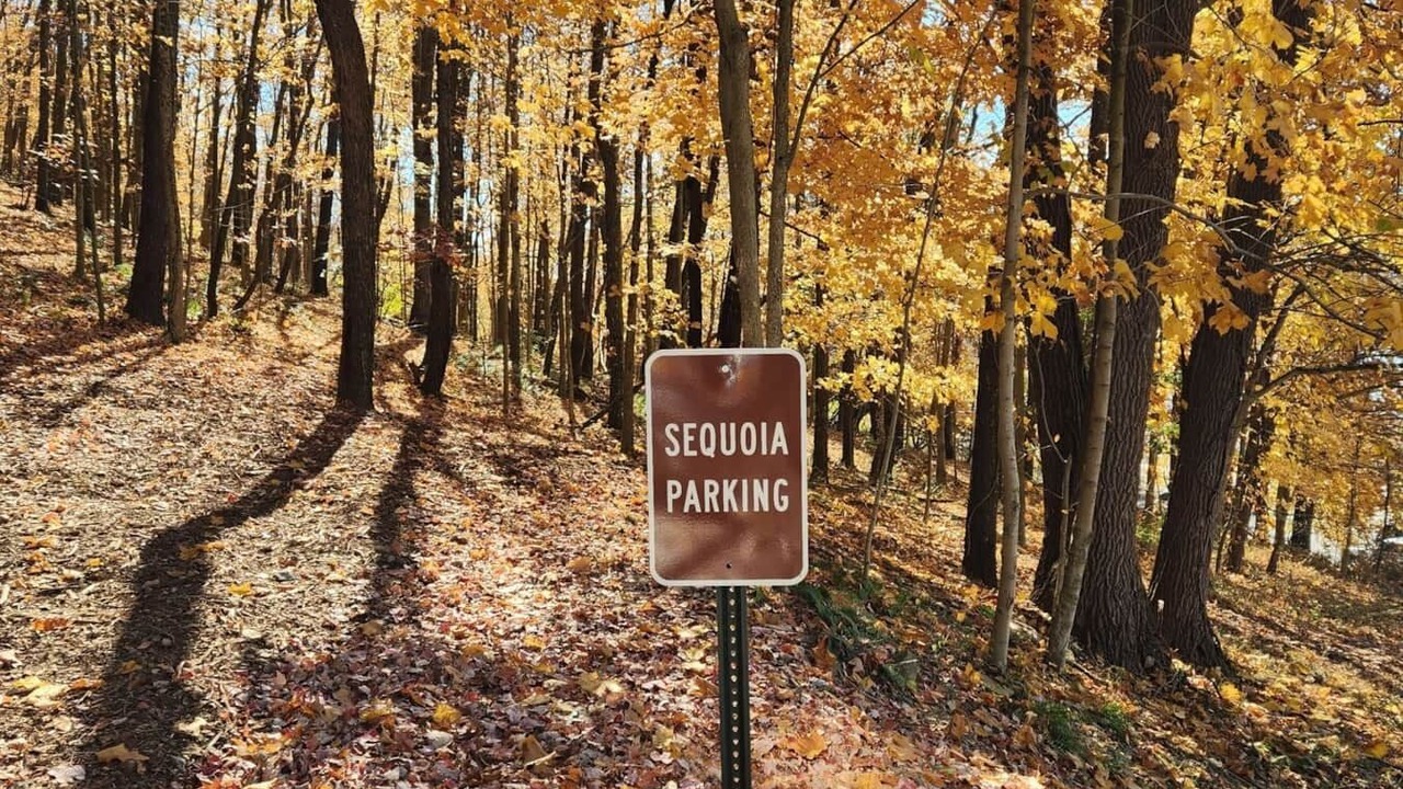 Photo of Others in Scio