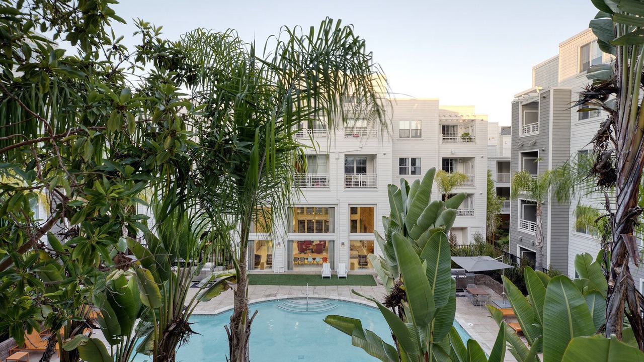 Photo of Outdoor in Central San Mateo