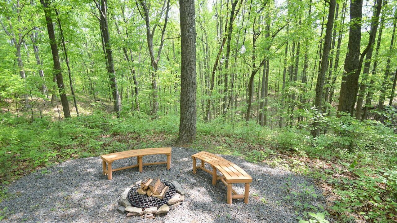 Photo of Others in Great Cacapon