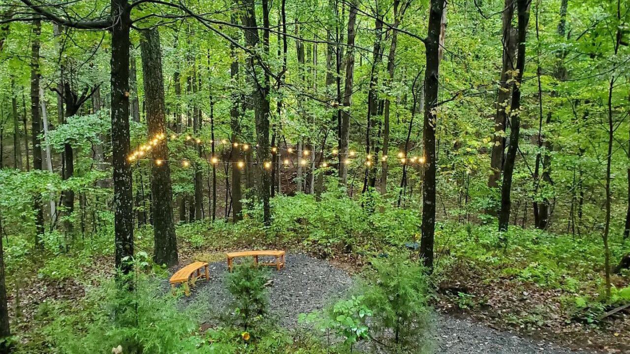 Photo of Others in Great Cacapon