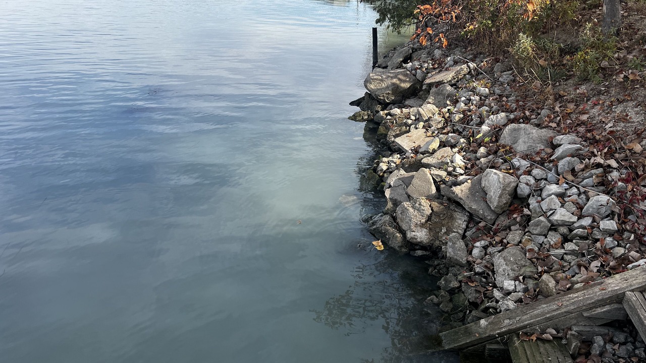 Photo of Others in Estral Beach