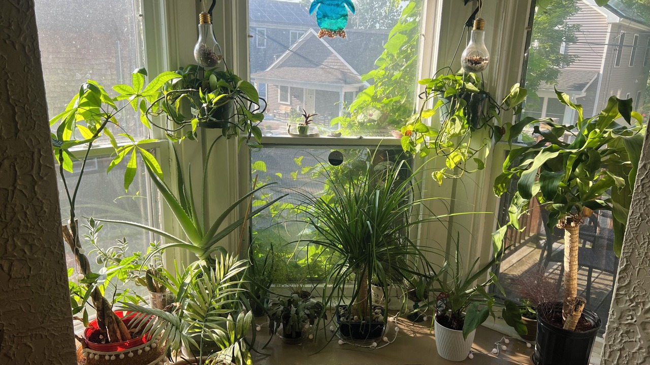 Photo of Others in Vine