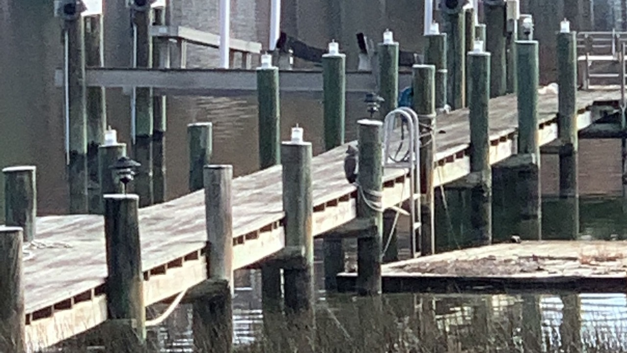 Photo of Outdoor in St. Michaels