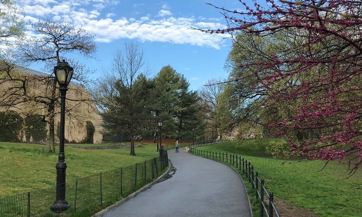 Photo of Outdoor in Upper West Side