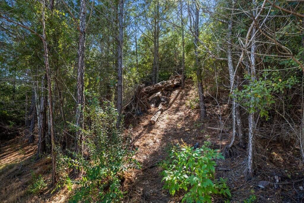 Photo of Others in Bastrop