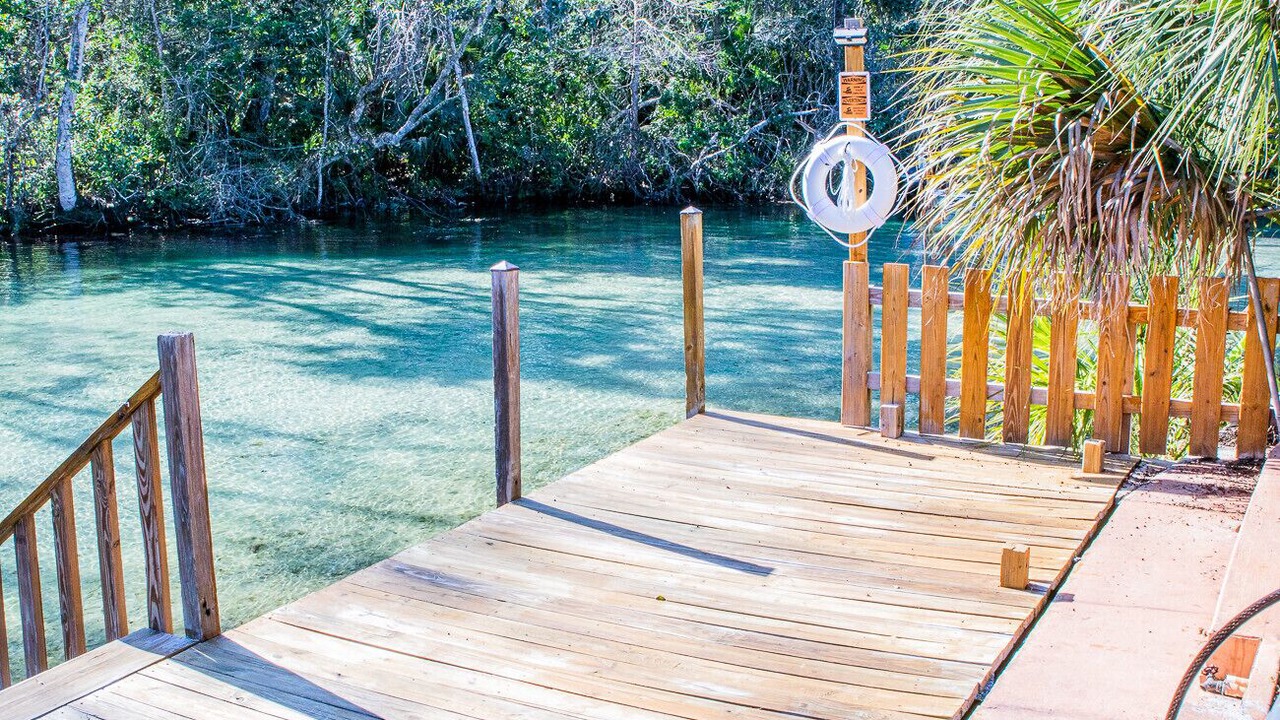 Photo of Others in Weeki Wachee Gardens