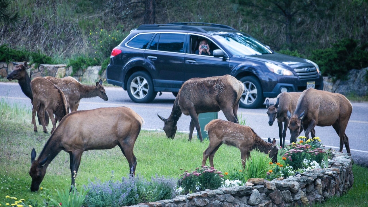 Photo of Outdoor in Evergreen West Central