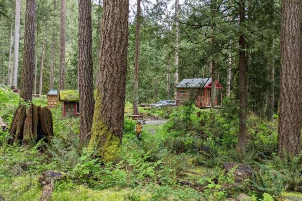Photo of Outdoor in Lime Kiln