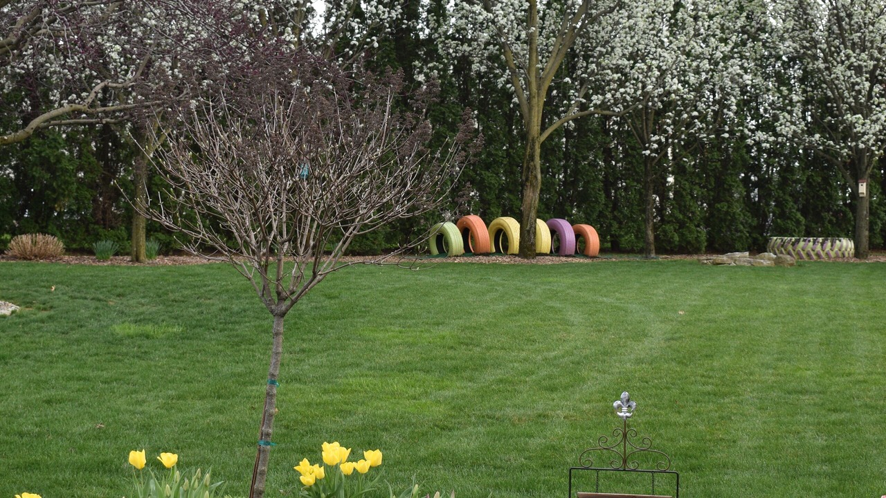 Photo of Outdoor in Blue Ball