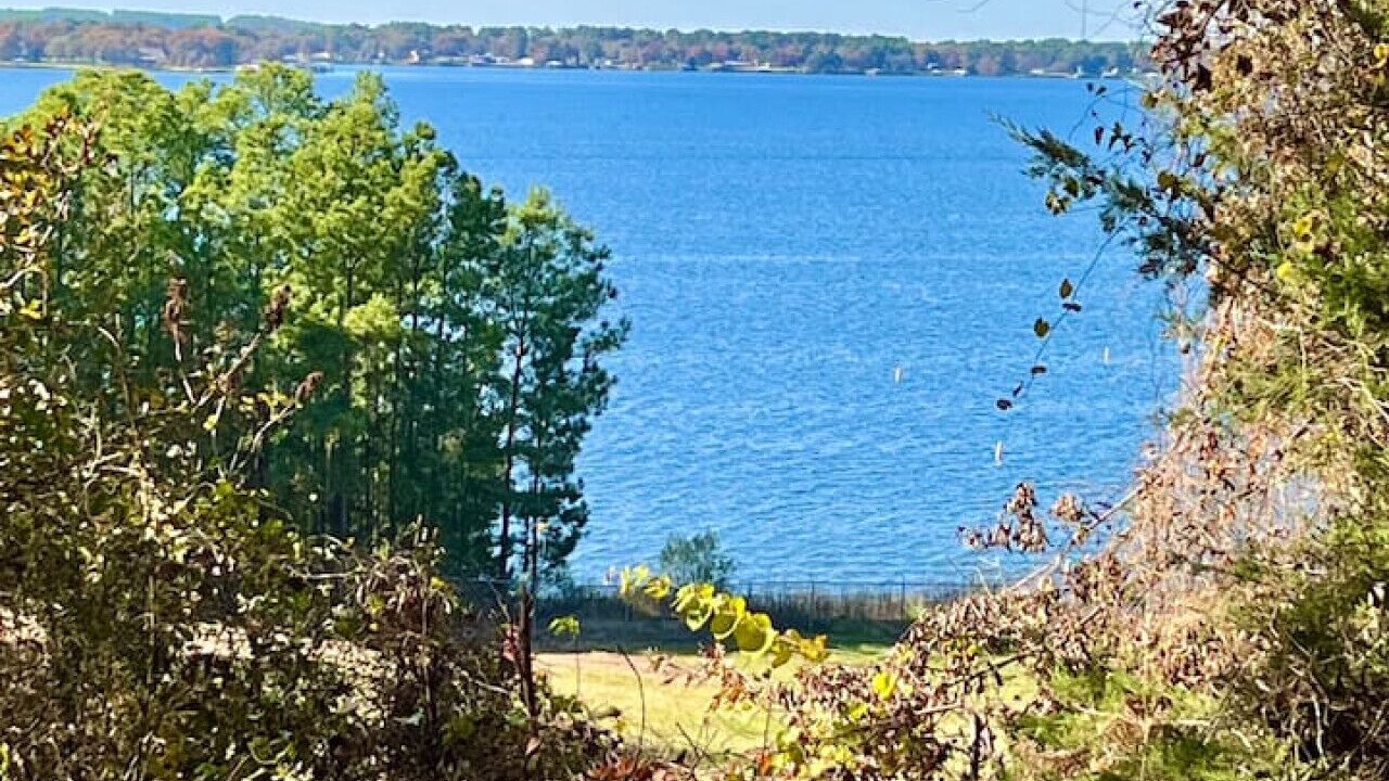 Photo of Outdoor in Flint