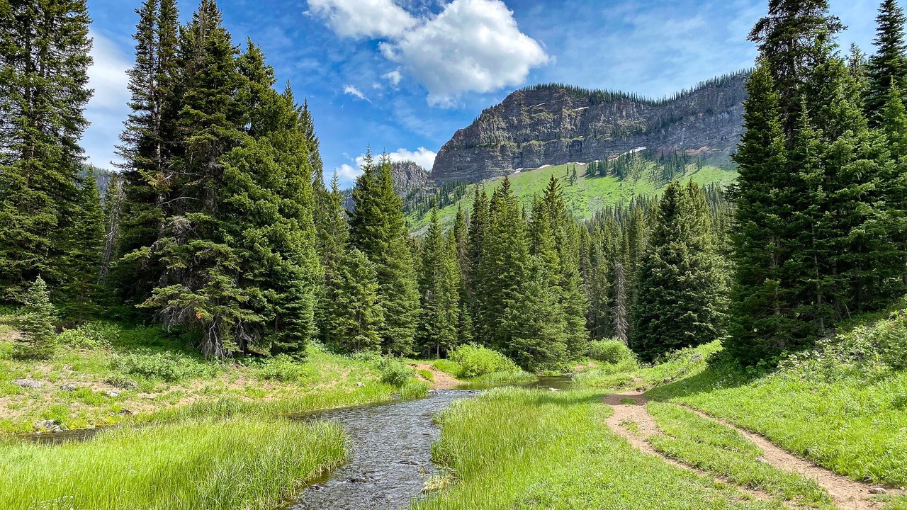 Photo of Outdoor in Meeker