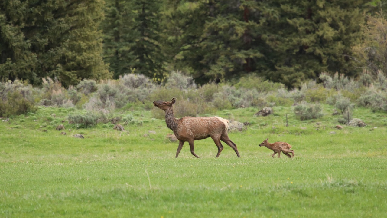 Photo of Outdoor in Meeker