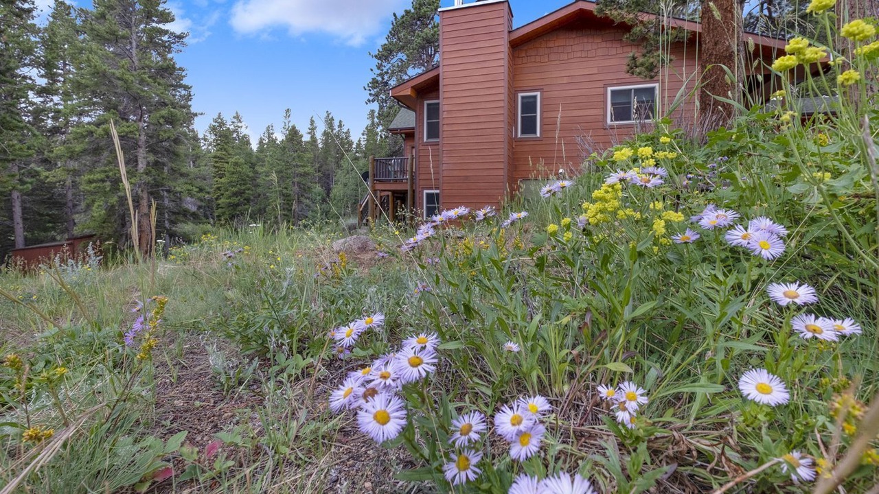 Photo of Outdoor in Estes Park