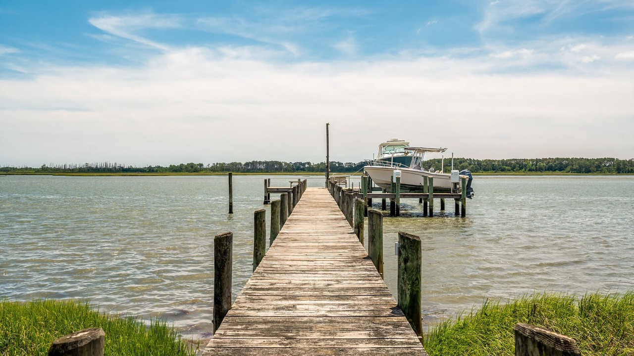 Photo of Others in Piney Island