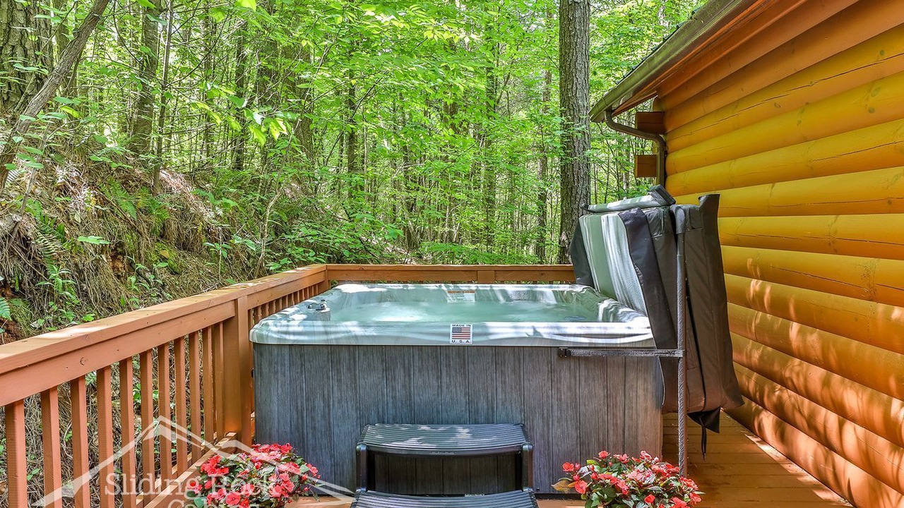 Photo of Outdoor in Ellijay