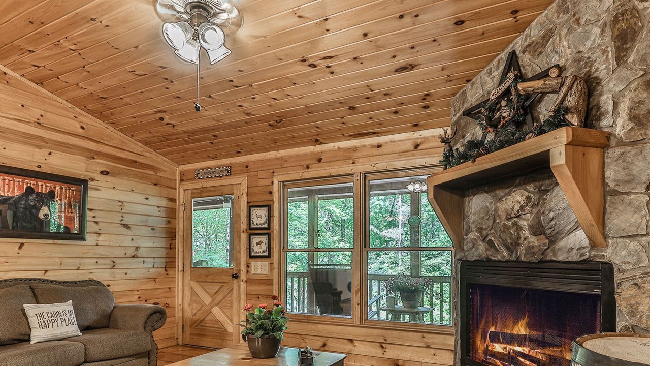 Photo of Livingroom in Ellijay