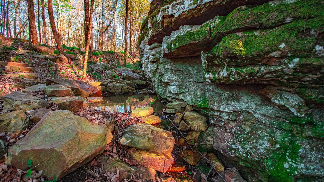 Photo of Outdoor in Beersheba Springs
