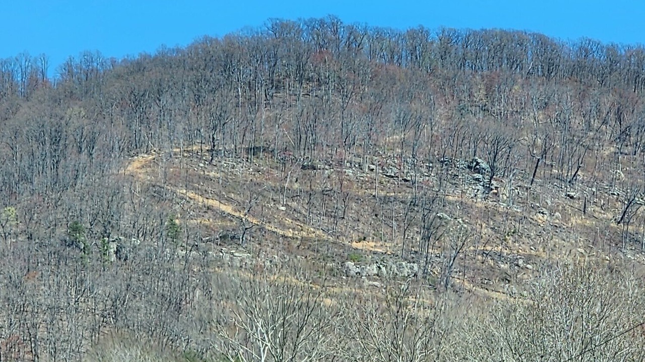 Photo of Others in Winona