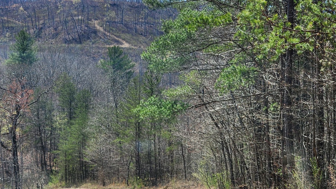 Photo of Outdoor in Winona