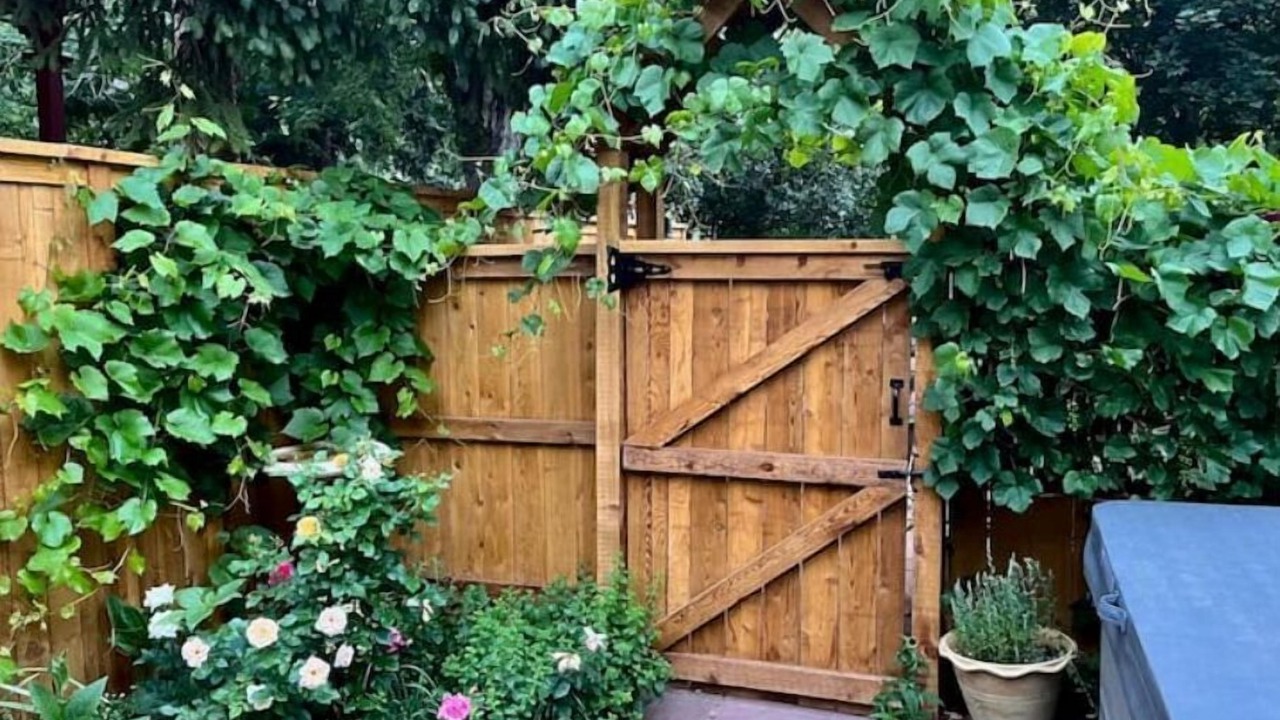 Photo of Outdoor in Whittier