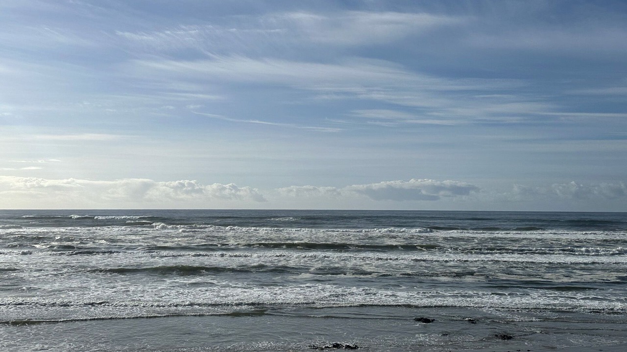 Photo of Others in Yachats