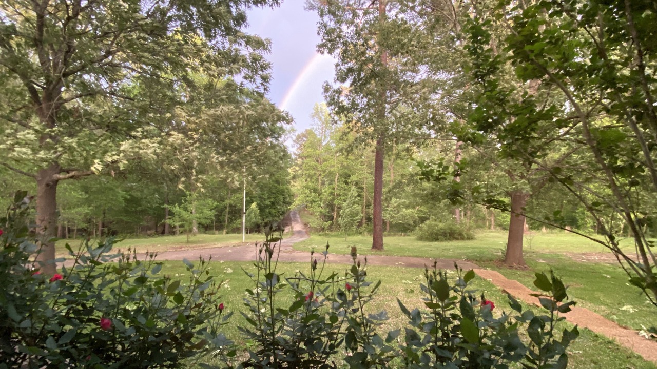 Photo of Outdoor in Gladewater