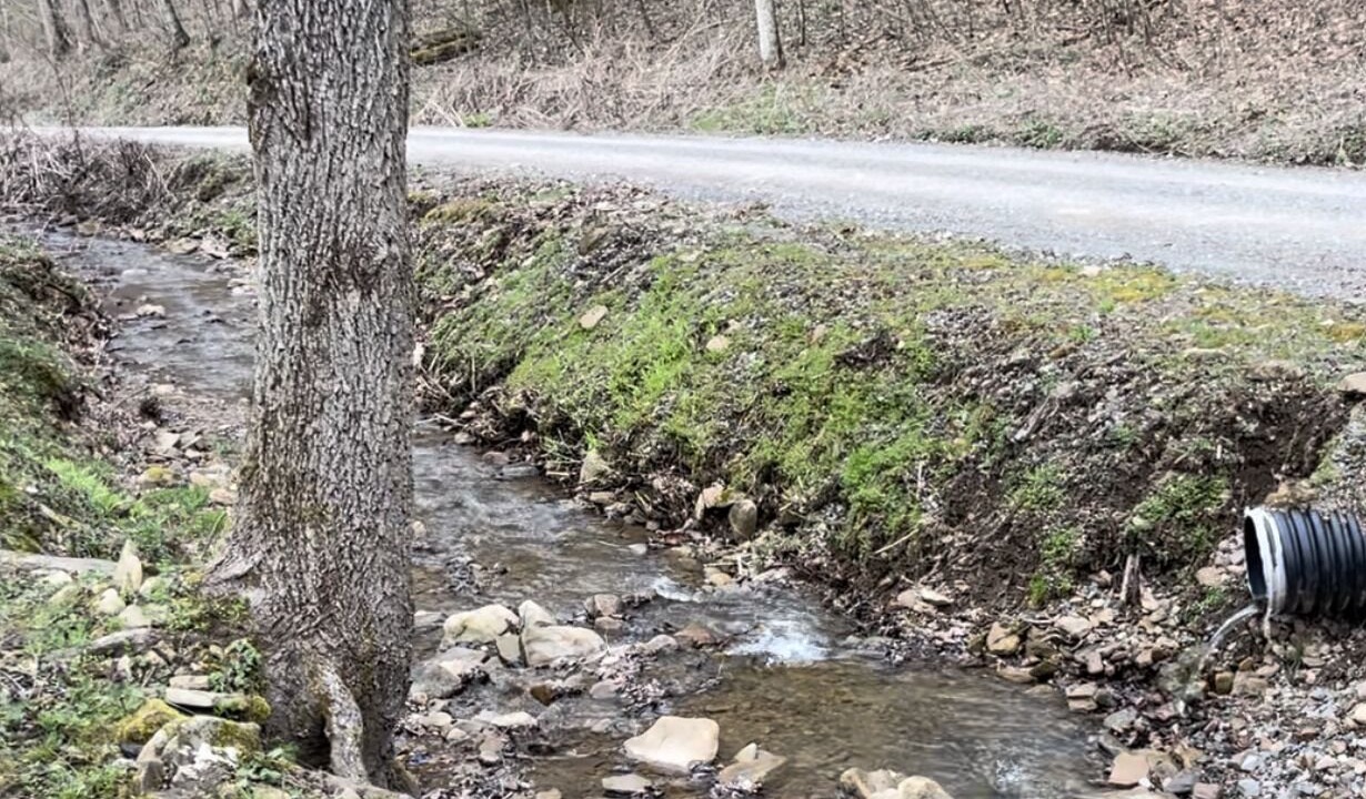 Photo of Outdoor in Ansted
