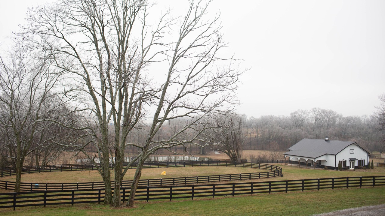 Photo of Others in Spring Hill