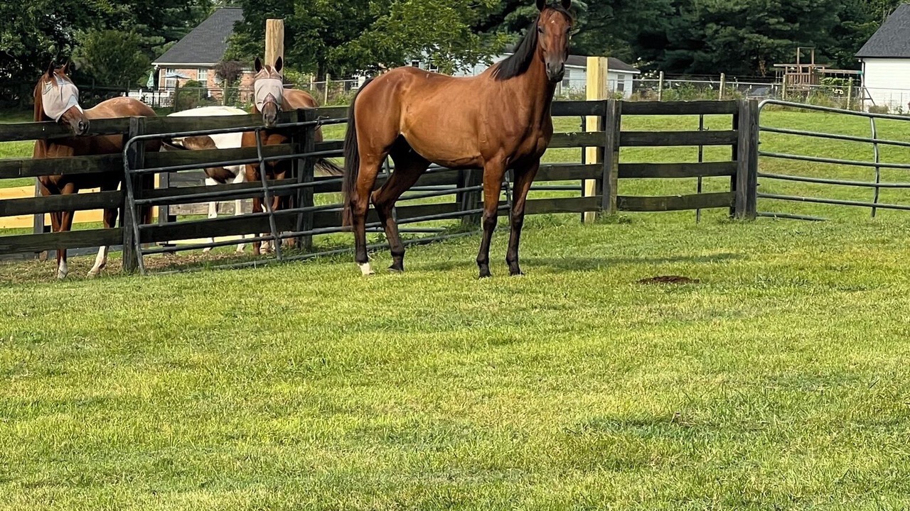 Photo of Outdoor in Spring Hill
