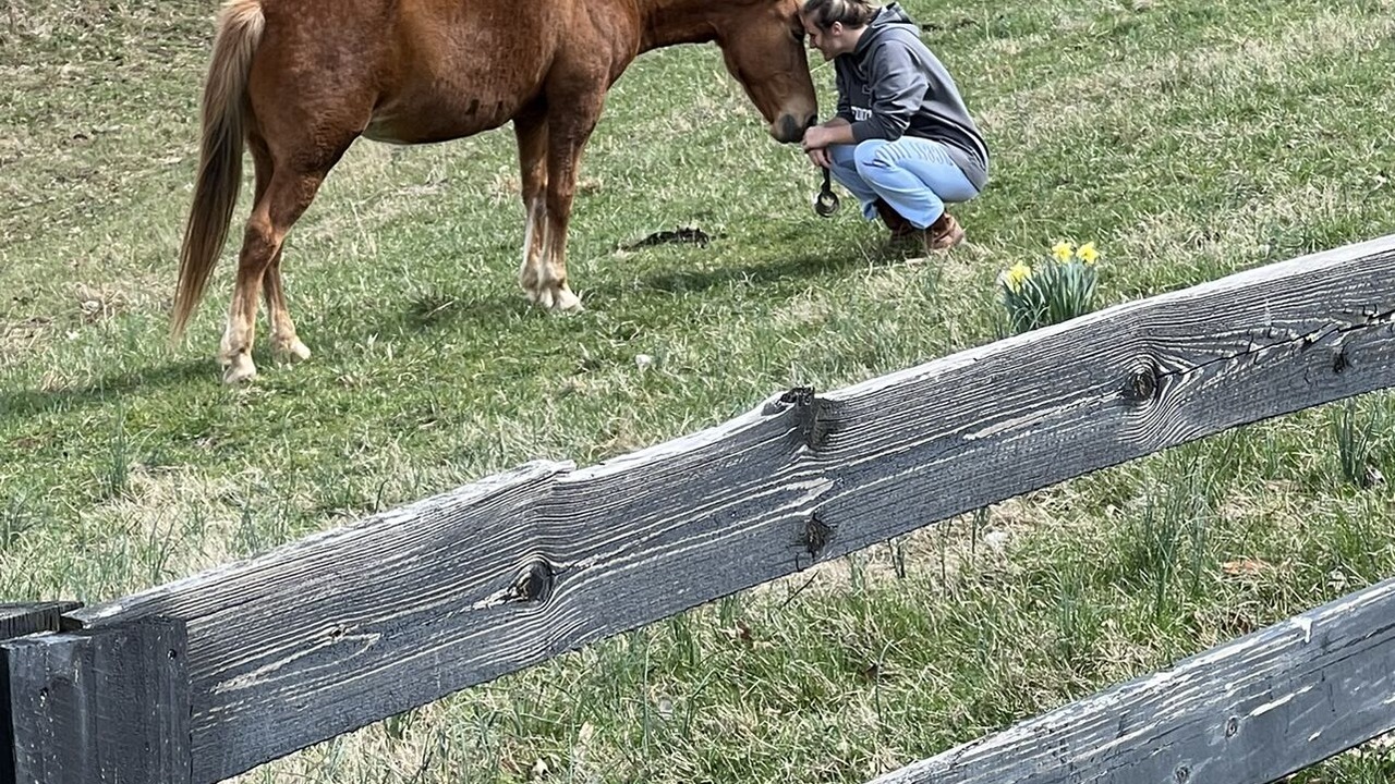 Photo of Outdoor in Spring Hill