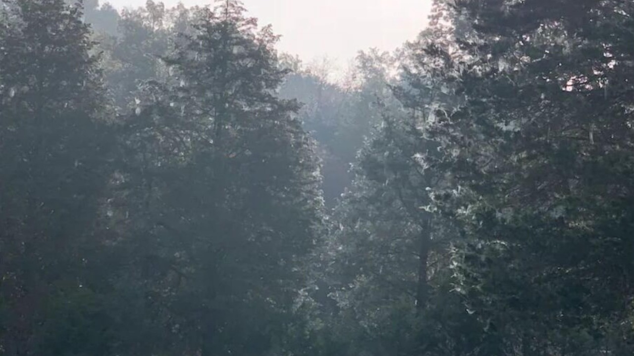Photo of Outdoor in Corryton