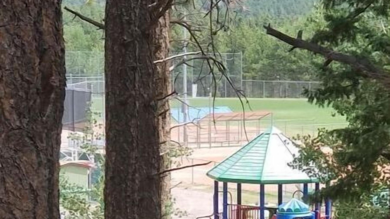 Photo of Others in Woodland Park