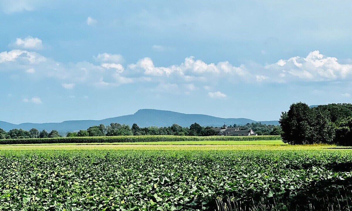 Photo of Others in Hadley
