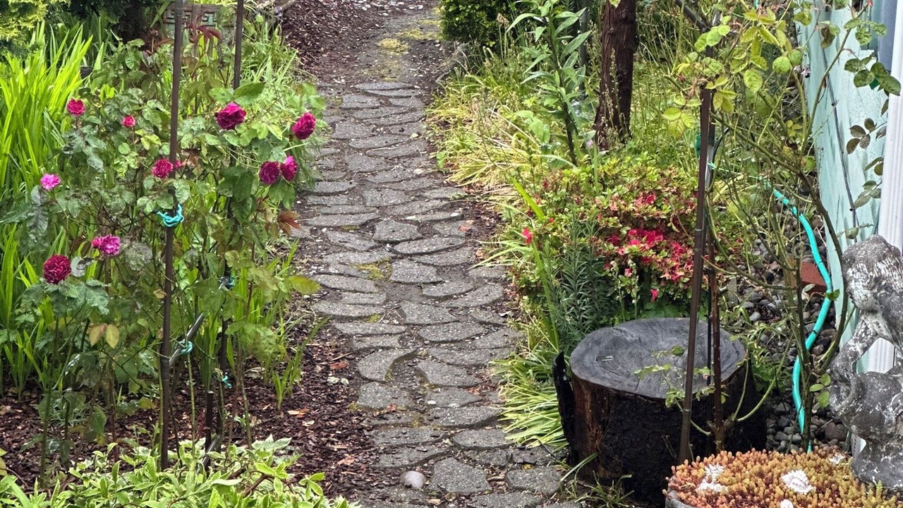Photo of Outdoor in Seaview