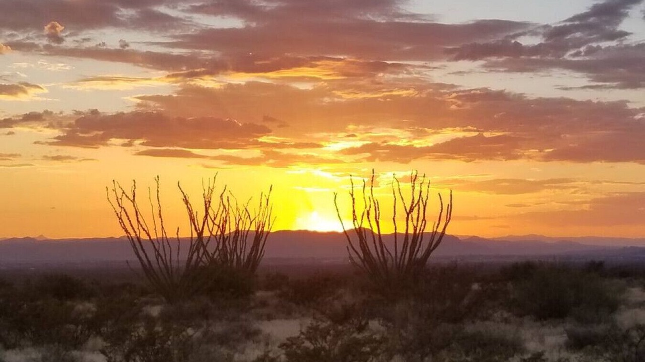 Photo of Others in Las Cruces