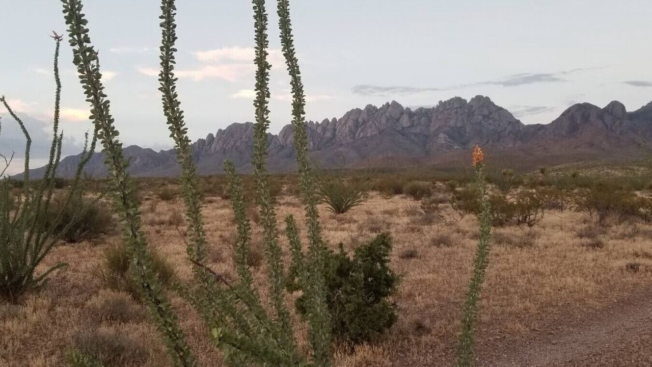 Photo of Others in Las Cruces