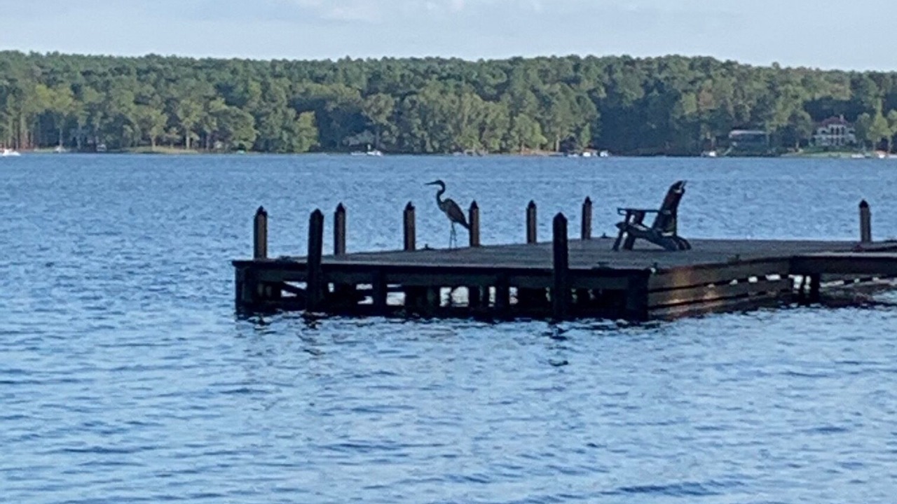 Photo of Outdoor in Lake Oconee