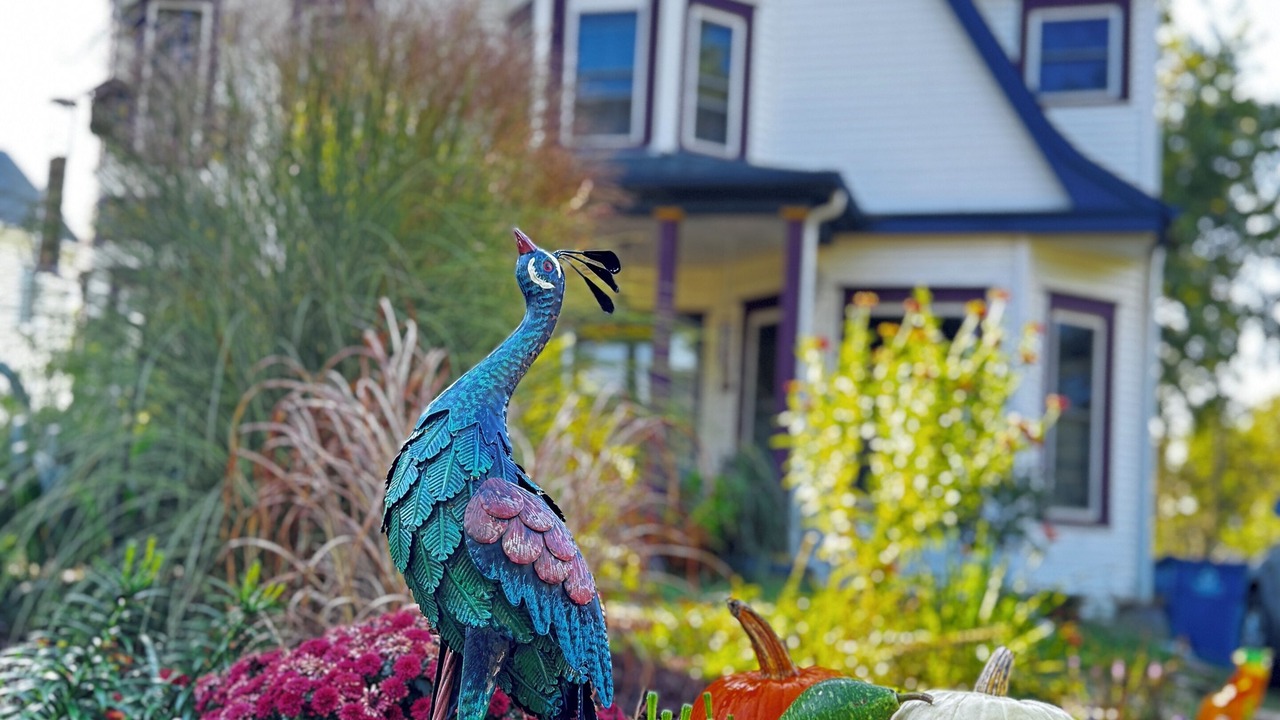 Photo of Outdoor in Cobden