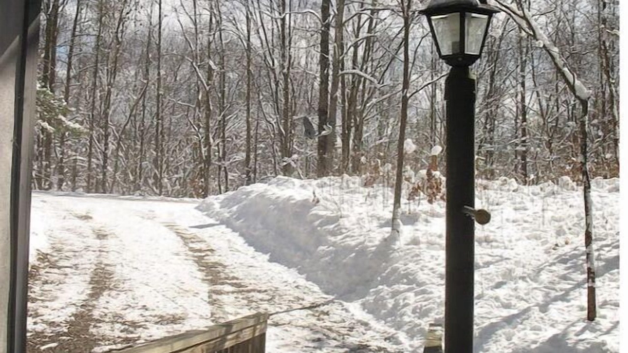 Photo of Others in South Bloomingville